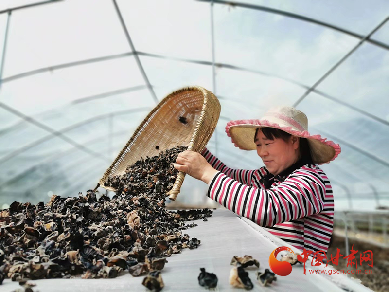 康縣：木耳菌袋結(jié)出脫貧致富的“幸?；ā?>
        </a><em>康縣：木耳菌袋結(jié)出脫貧致富的“幸福花”</em></li>
    <li><a  target=