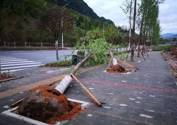 刮風(fēng)下雨加速新冠病毒傳播？別信！