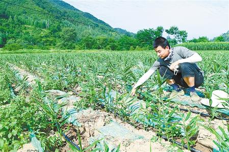 【走向我們的小康生活】安居樂業(yè) 幸?；ㄩ_