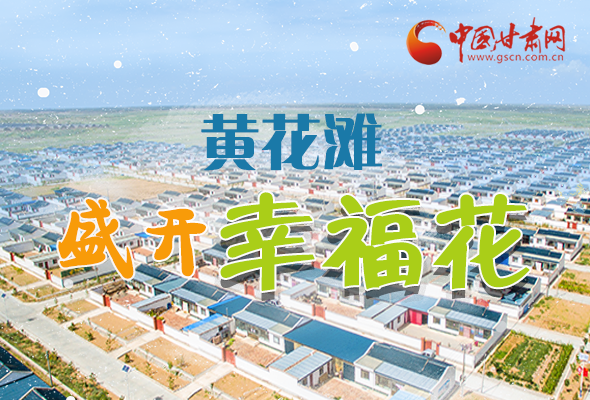 【跟著總書記看甘肅】長圖|武威黃花灘盛開幸?；?