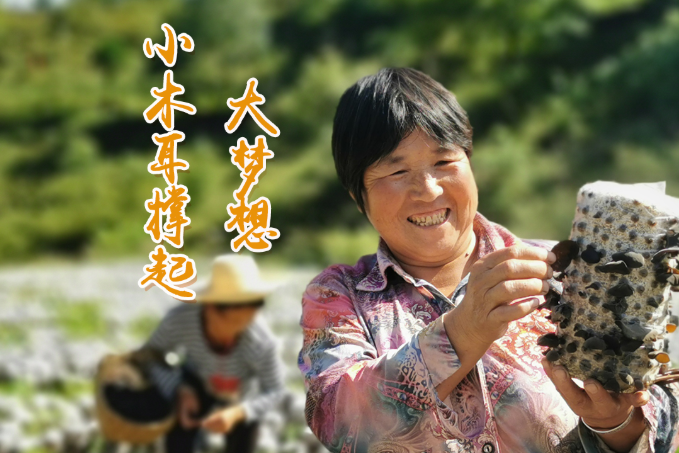 海報丨他們，乘“豐”破浪！