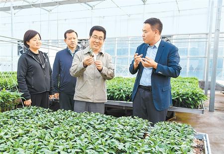 林鐸在民勤縣調(diào)研指導(dǎo)工作時強(qiáng)調(diào) 堅(jiān)持生態(tài)優(yōu)先 培育特色產(chǎn)業(yè) 促進(jìn)經(jīng)濟(jì)發(fā)展和生態(tài)保護(hù)雙贏
