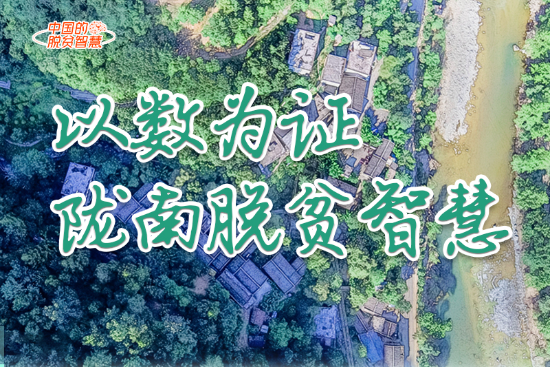 【中國(guó)的脫貧智慧】以數(shù)為證！隴南脫貧智慧來(lái)了！