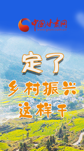 圖解|定了！全面推進(jìn)鄉(xiāng)村振興這樣干！