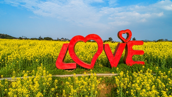 “l(fā)ove”創(chuàng)意拍照墻。廖濤 攝