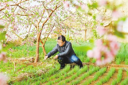 甘肅：時令催人耕種忙，不誤田間一季春