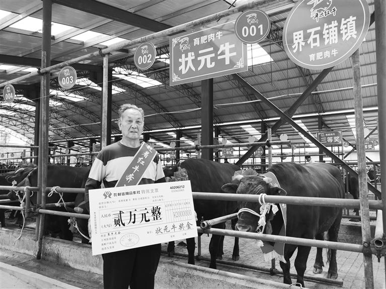 120頭“平?jīng)黾t?！膘o寧爭(zhēng)霸