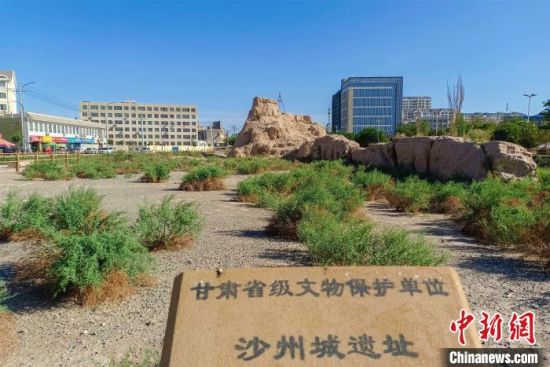 圖為沙州郡城遺址公園古遺址?！⊥醣筱y 攝