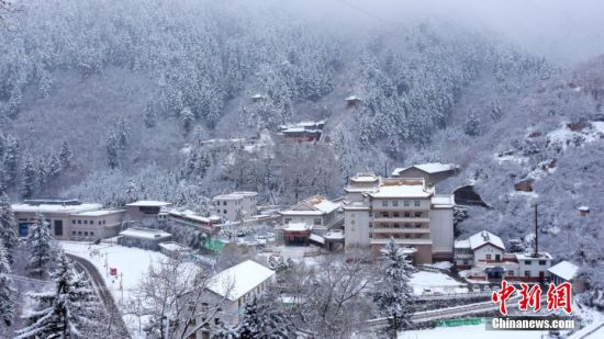 圖為籠罩在雪下的世界。吳永 攝