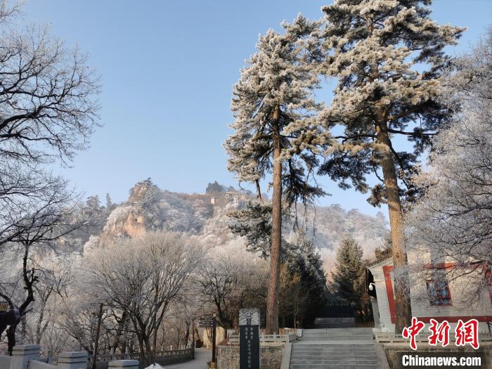 圖為崆峒山霧凇景色美不勝收?！⌒煺袢A 攝