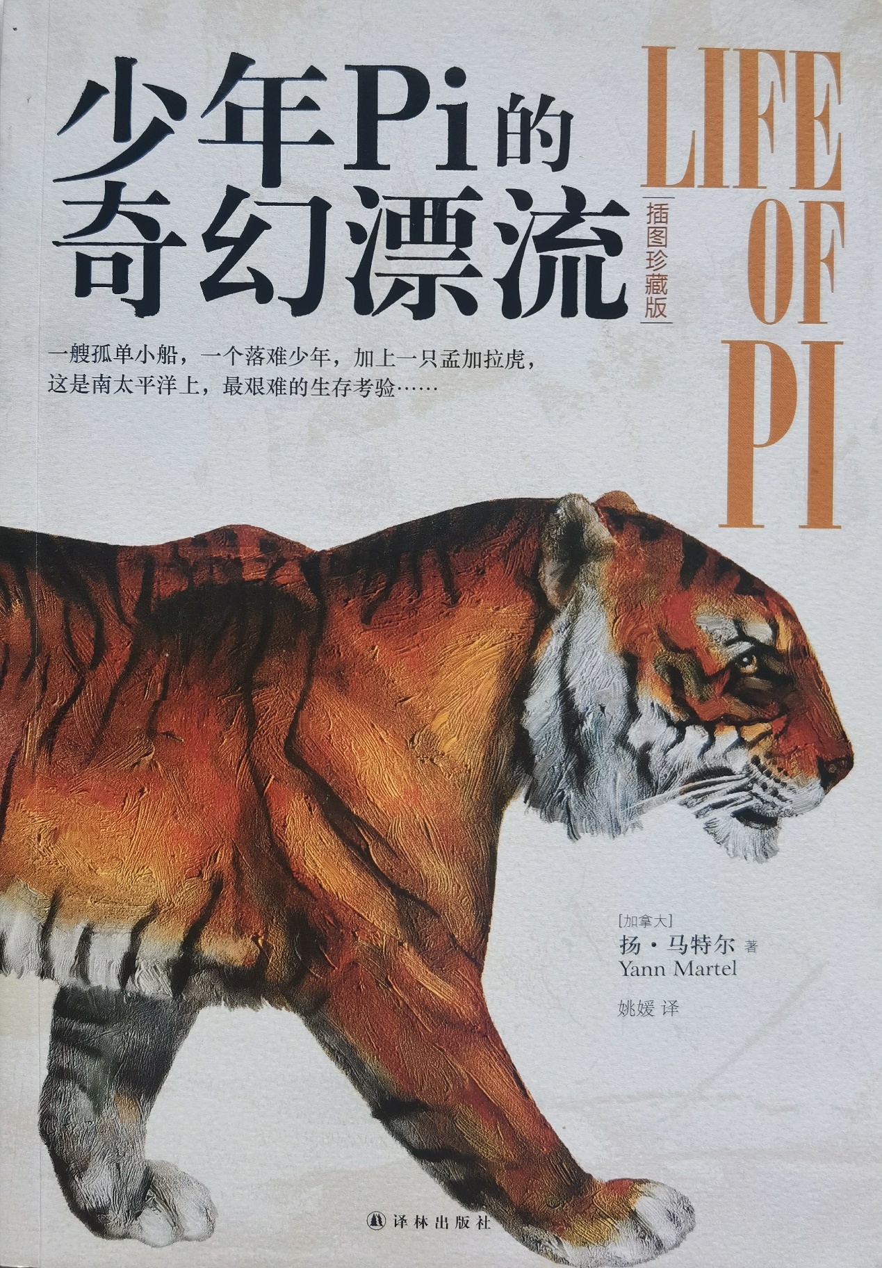 插圖1：揚(yáng)？馬特爾的小說《少年pi的奇幻漂流》封面
