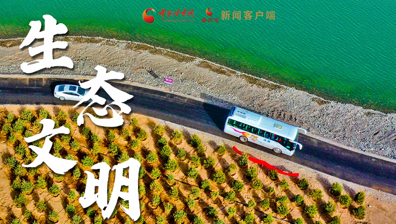 彈幕海報丨熱議甘肅省委十三屆十六次全會 網民聲音在回響！