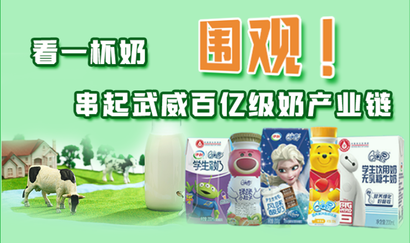 圖解|圍觀！看一杯奶串起武威百億級(jí)奶產(chǎn)業(yè)鏈
