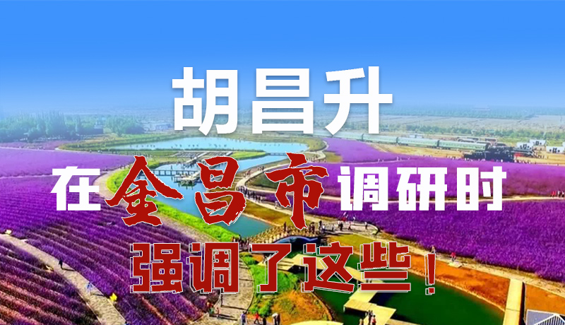 圖解|胡昌升在金昌市調(diào)研時(shí)強(qiáng)調(diào)了這些！