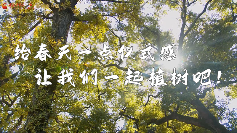 短視頻|給春天一點(diǎn)儀式感，讓我們一起植樹(shù)吧！
