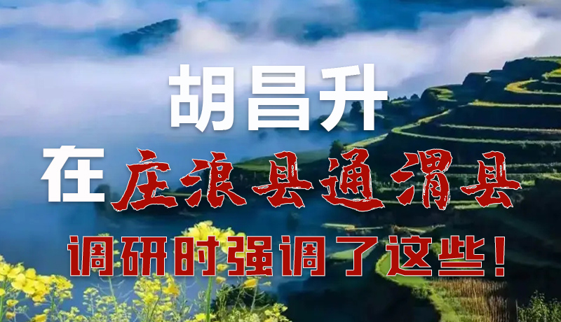 圖解|胡昌升在莊浪縣通渭縣調(diào)研時(shí)強(qiáng)調(diào)了這些！