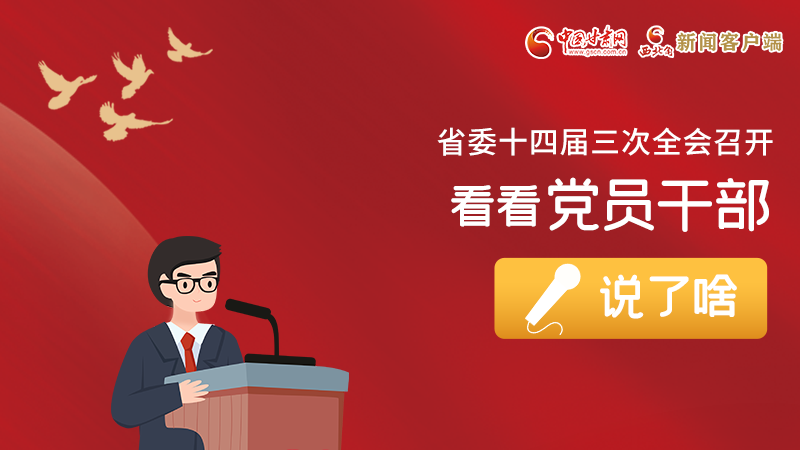 圖解|事關(guān)甘肅省委十四屆三次全會，黨員干部這么說！