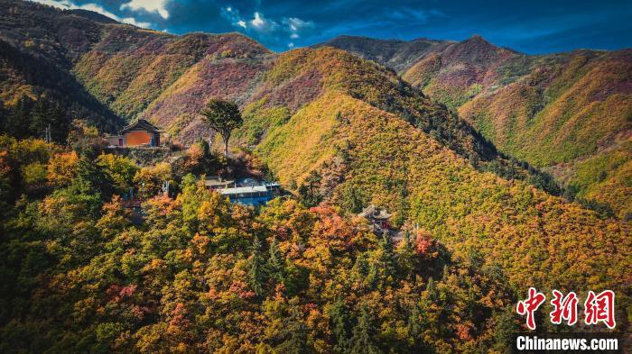 深秋，位于蘭州市榆中縣的興隆山，似打翻調(diào)色板。金峯 攝