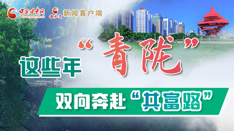 【江河奔流·青隴協(xié)作譜新篇】這些年，“青隴”雙向奔赴“共富路”
