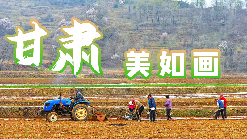 微海報(bào)|甘肅，美如畫