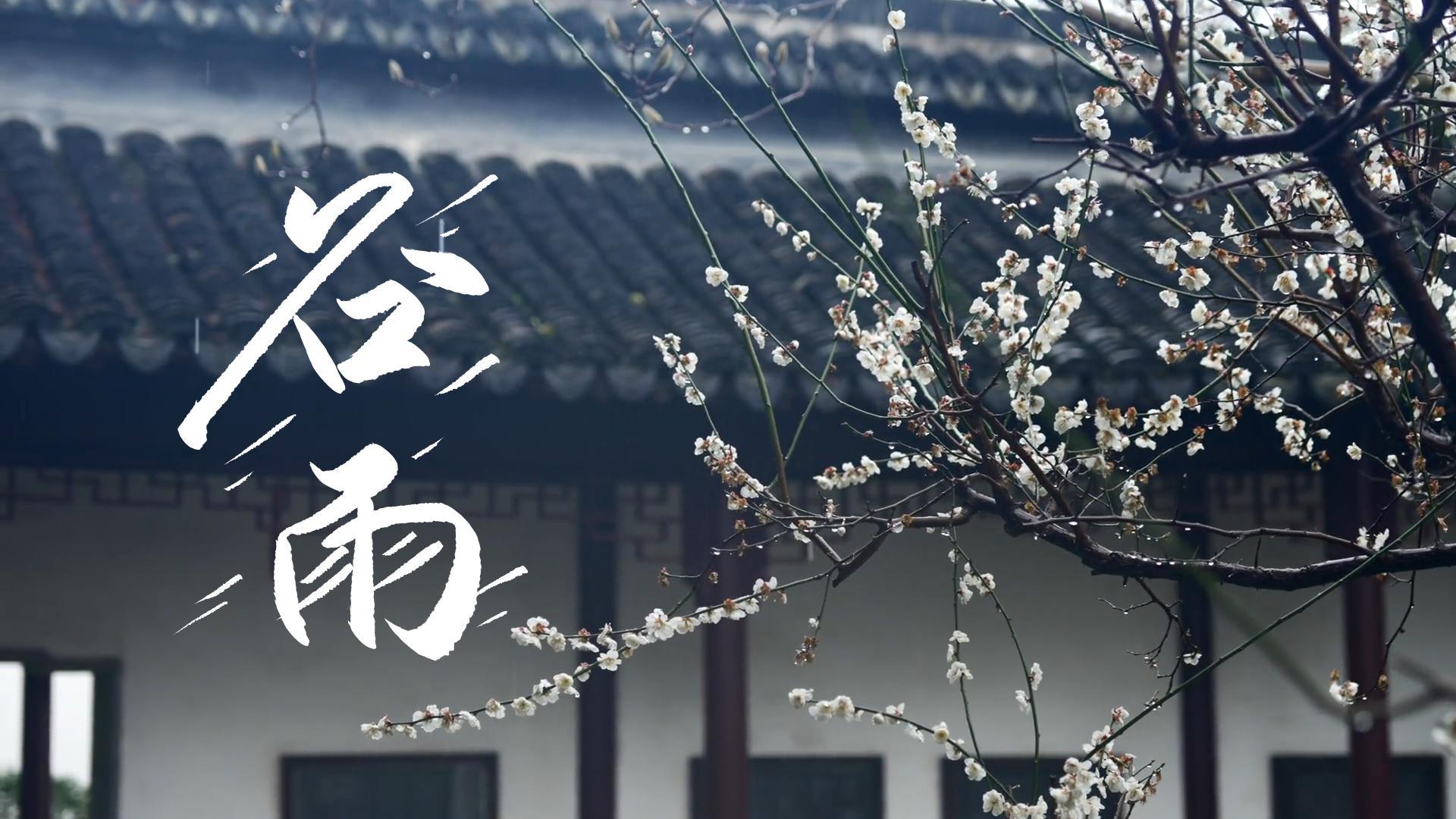 【節(jié)氣里的大美甘肅】谷雨，春天的最后一次回眸