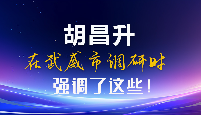 圖解|胡昌升在武威市調(diào)研時強(qiáng)調(diào)了這些！