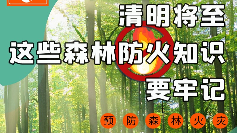【甘快看】圖解|緊繃“安全弦”！清明，這些森林防火知識要牢記